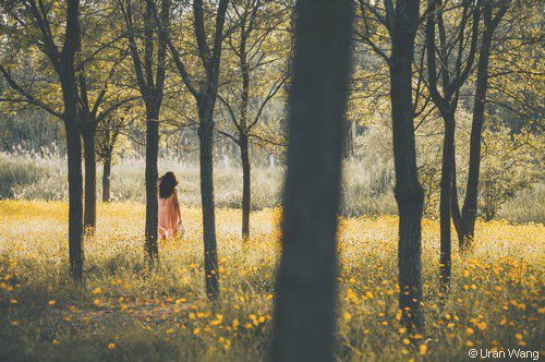 femme seule au milieu des arbres