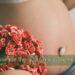 ventre femme enceinte derrière un bouquet de roses rouges