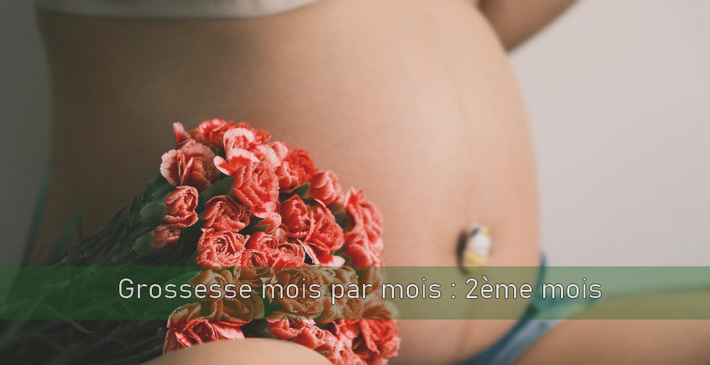 ventre femme enceinte derrière un bouquet de roses rouges