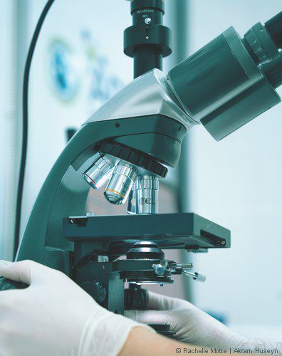 analyses au microscope