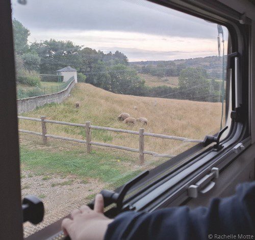 main d'un bébé sur une fenêtre de camping-car donnant sur un pré avec des moutons