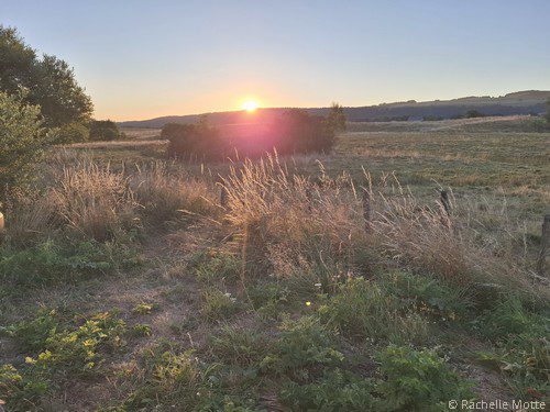 coucher de soleil sur un champ