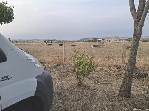 camping-car garé devant un pré avec des vaches